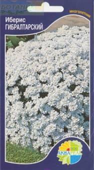 Купить оптом в Ботанике семена Иберис Гибралтарский Акв бренд Акварель