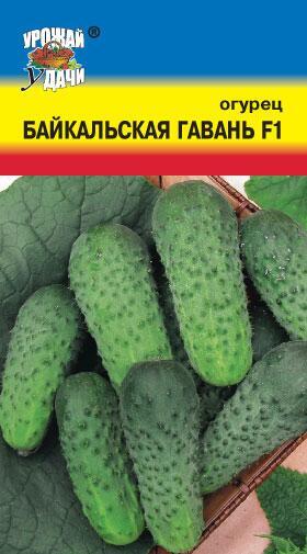 Купить оптом в Ботанике семена Огурец Байкальская гавань F1 УУ бренд Урожай Удачи