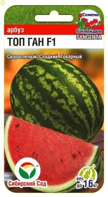 Купить оптом в Ботанике семена Арбуз Топ Ган F1 СС бренд Сиб.сад