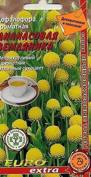 Купить оптом в Ботанике семена Цефалофлора ананасовая земляника Аэл бренд Аэлита