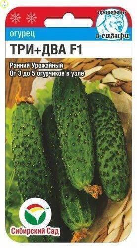 Купить оптом в Ботанике семена Огурец Три+Два F1 CC бренд Сиб.сад