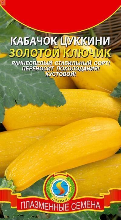 Купить оптом в Ботанике семена Кабачок Золотой ключик цуккини Плз бренд Плазмас