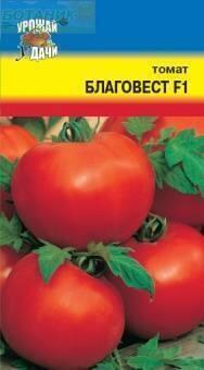 Купить оптом в Ботанике семена Томат Благовест F1 УУ бренд Урожай Удачи