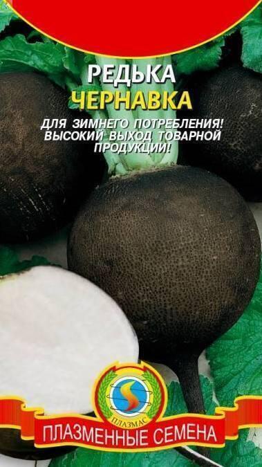 Купить оптом в Ботанике семена Редька Чернавка Плз бренд Плазмас