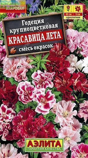 Купить оптом в Ботанике семена Годеция Красавица лета Аэл бренд Аэлита