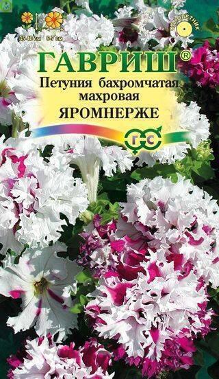 Купить оптом в Ботанике семена Петуния Яромнерже бахромчатая Гав бренд Гавриш