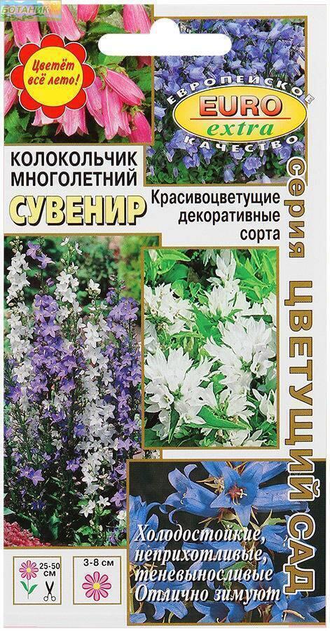 Купить оптом в Ботанике семена Колокольчик Сувенир смесь Аэл бренд Аэлита