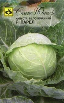 Купить оптом в Ботанике семена Капуста белокочанная Парел F1 Сем бренд Семко