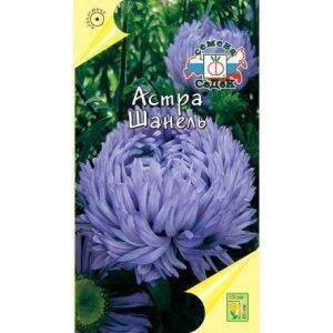 Купить оптом в Ботанике семена Астра Шанель Сед бренд СеДеК