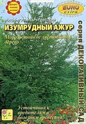 Купить оптом в Ботанике семена Нотофагус Изумрудный ажур антарктический Аэл бренд Аэлита