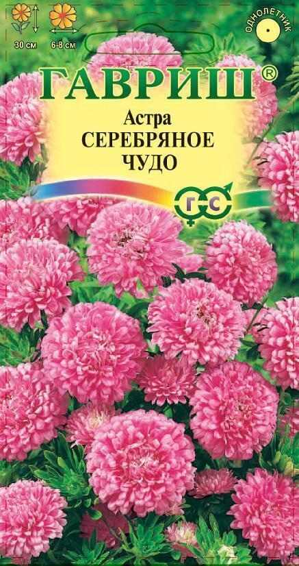 Купить оптом в Ботанике семена Астра Серебряное чудо Гав бренд Гавриш