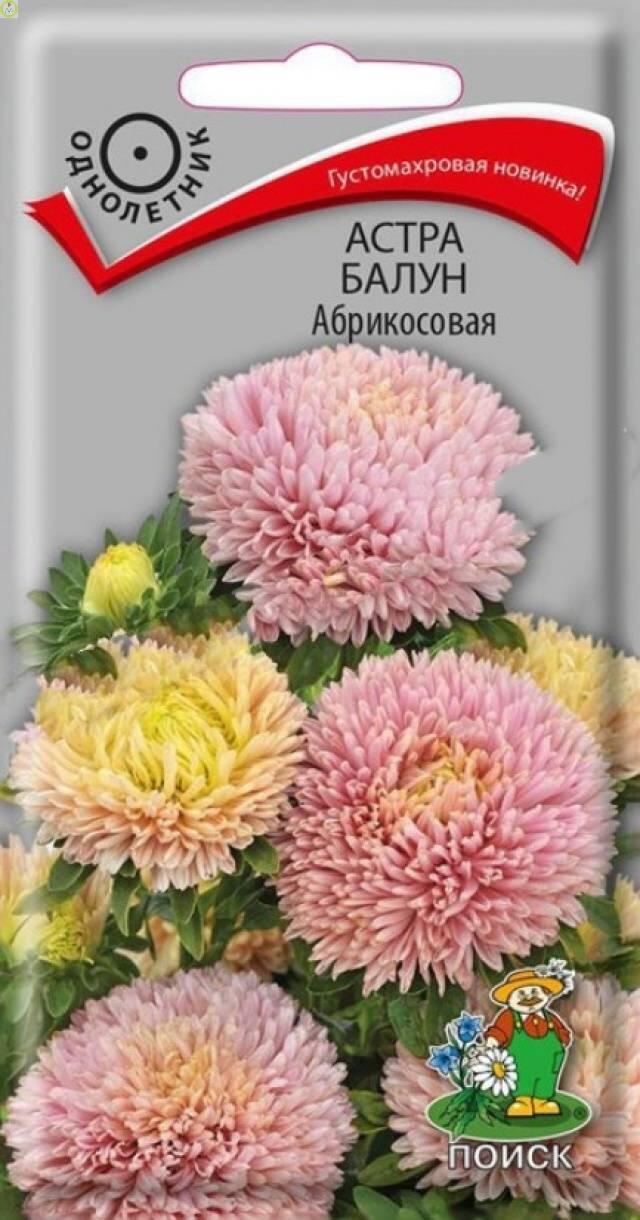 Купить оптом в Ботанике семена Астра Балун Абрикосовая Поиск бренд Поиск