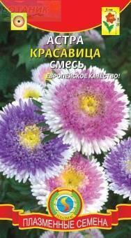 Купить оптом в Ботанике семена Астра Красавица Плз бренд Плазмас