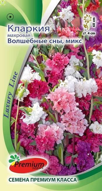Купить оптом в Ботанике семена Кларкия Волшебные сны микс ПС бренд Премиум Сидс