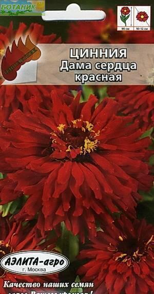 Купить оптом в Ботанике семена Цинния Дама сердца красная Аэл бренд Аэлита