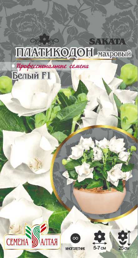 Купить оптом в Ботанике семена Платикодон Белый махровый СА бренд Семена Алтая