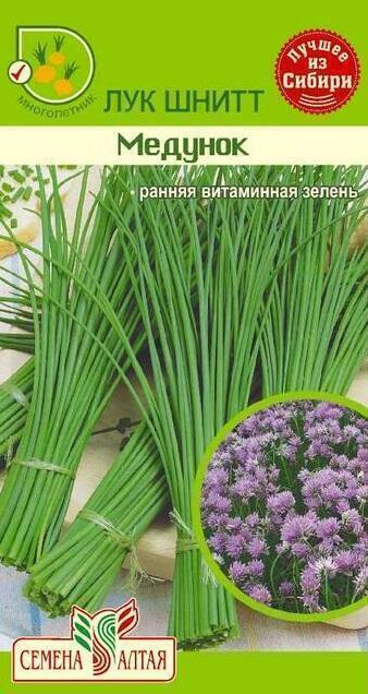 Купить оптом в Ботанике семена Лук шнит Медунок СА бренд Семена Алтая