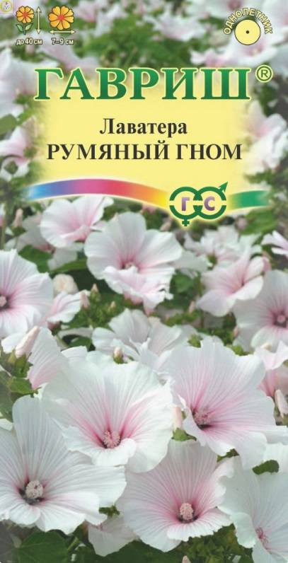 Купить оптом в Ботанике семена Лаватера Румяный гном Гав бренд Гавриш