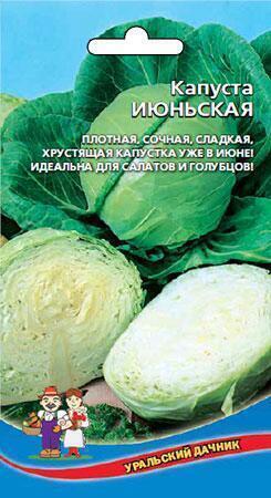 Купить оптом в Ботанике семена Капуста белокочанная Июньская УД бренд Уральский дачник