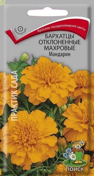Купить оптом в Ботанике семена Бархатцы Мандарин отклоненные махровые Поиск бренд Поиск