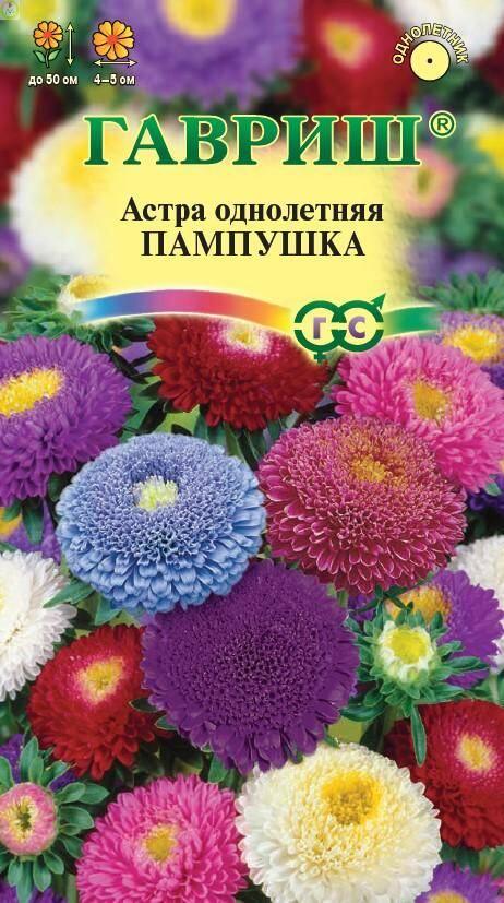 Купить оптом в Ботанике семена Астра Пампушка смесь Гав бренд Гавриш