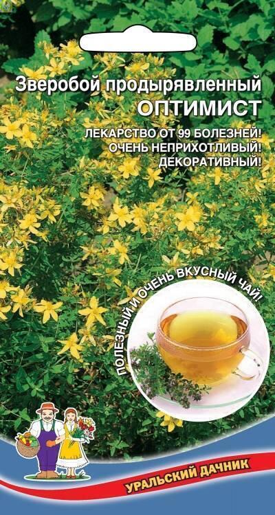 Купить оптом в Ботанике семена Зверобой Оптимист УД бренд Уральский дачник