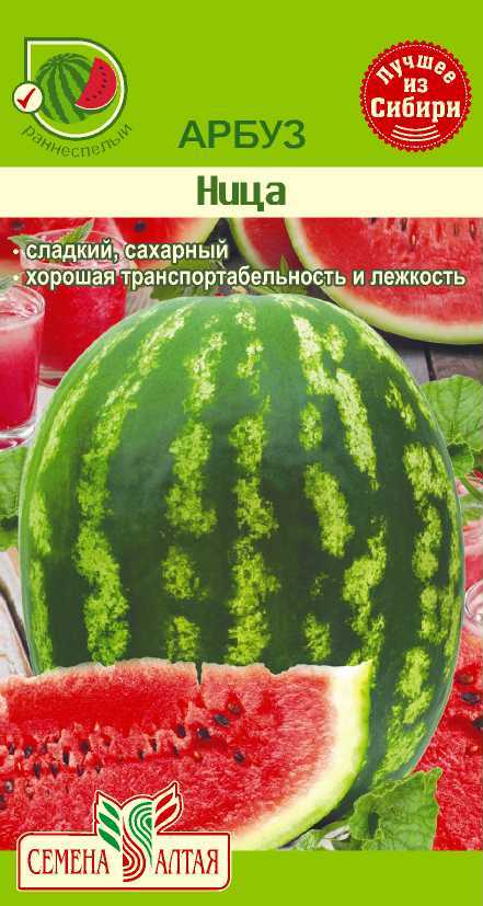 Купить оптом в Ботанике семена Арбуз Ница СА бренд Семена Алтая