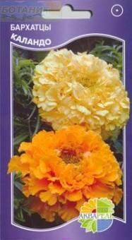 Купить оптом в Ботанике семена Бархатцы Каландо смесь Акв бренд Акварель