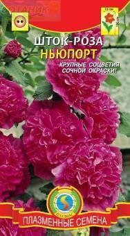 Купить оптом в Ботанике семена Шток-роза Ньюпорт Плз бренд Плазмас