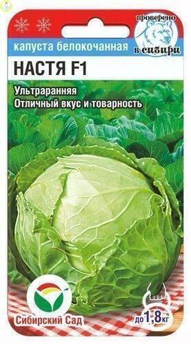 Купить оптом в Ботанике семена Капуста белокочанная Настя F1 СС бренд Сиб.сад