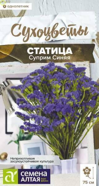 Купить оптом в Ботанике семена Статица Суприм Синяя СА бренд Семена Алтая