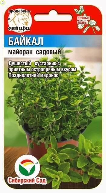 Купить оптом в Ботанике семена Майоран Байкал СС бренд Сиб.сад