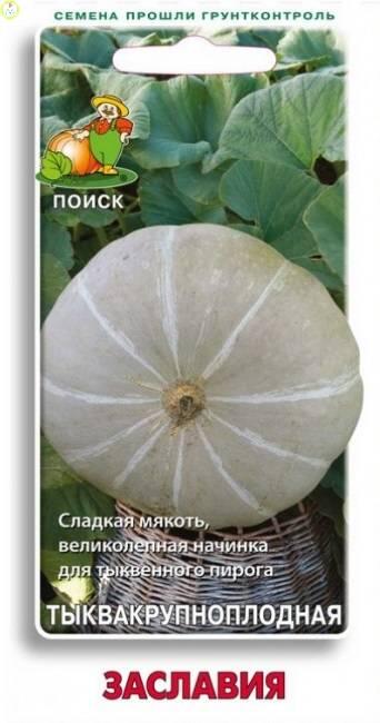 Купить оптом в Ботанике семена Тыква Заславия крупноплодная Поиск бренд Поиск