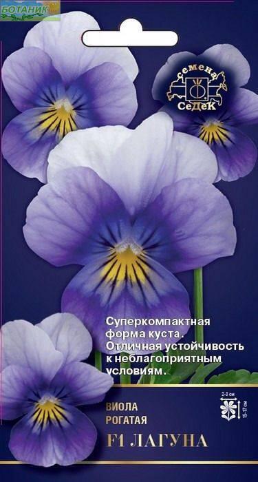 Купить оптом в Ботанике семена Виола Лагуна F1 Сед бренд СеДеК
