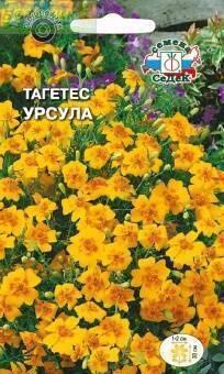 Купить оптом в Ботанике семена Бархатцы Урсула Сед бренд СеДеК