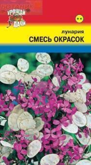Купить оптом в Ботанике семена Лунария Смесь окрасок УУ бренд Урожай Удачи