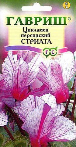 Купить оптом в Ботанике семена Цикламен Стриата* Гав бренд Гавриш