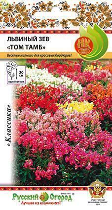 Купить оптом в Ботанике семена Львиный зев Том Тамб НК бренд НК