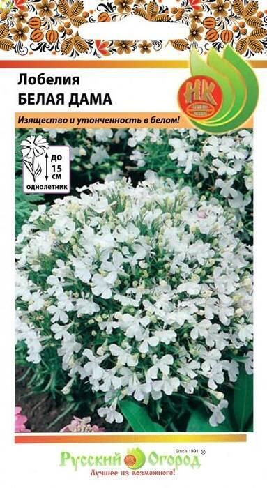 Купить оптом в Ботанике семена Лобелия Белая дама НК бренд НК