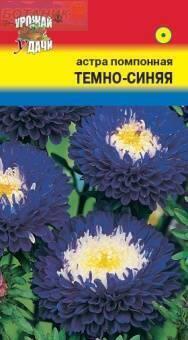 Купить оптом в Ботанике семена Астра Помпонная темно-синяя УУ бренд Урожай Удачи