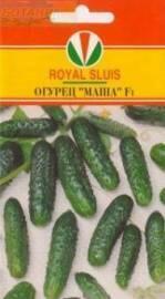 Огурец Маша F1