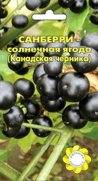 Купить оптом в Ботанике семена Санберри (Канадская черника) УУ бренд Урожай Удачи