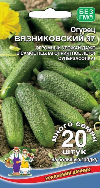 Купить оптом в Ботанике семена Огурец Вязниковский 37 УД бренд Уральский дачник