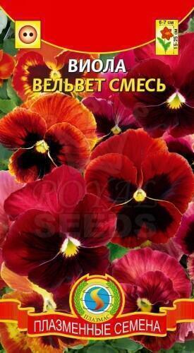Купить оптом в Ботанике семена Виола Вельвет смесь Плз бренд Плазмас