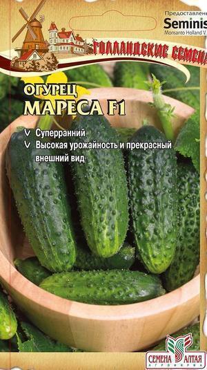 Купить оптом в Ботанике семена Огурец Мареса СА бренд Семена Алтая