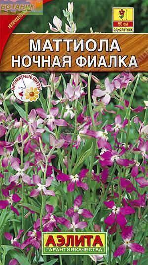 Купить оптом в Ботанике семена Маттиола Ночная фиалка Аэл бренд Аэлита