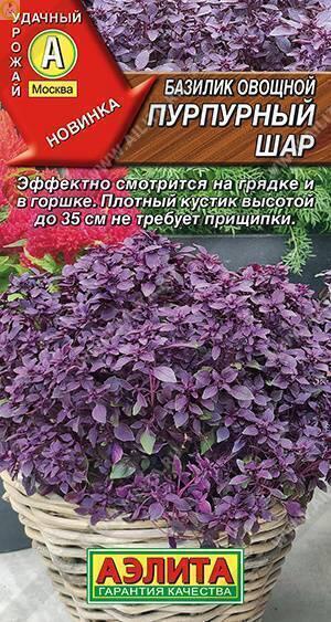 Купить оптом в Ботанике семена Базилик Пурпурный шар Аэл бренд Аэлита