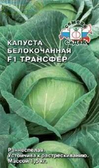 Купить оптом в Ботанике семена Капуста белокочанная Трансфер Сед бренд СеДеК