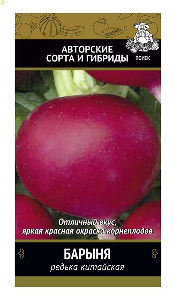 Купить оптом в Ботанике семена Редька Барыня китайская Поиск бренд Поиск