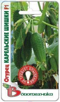 Купить оптом в Ботанике семена Огурец Карельские шишки F1 Био бренд Биотехника